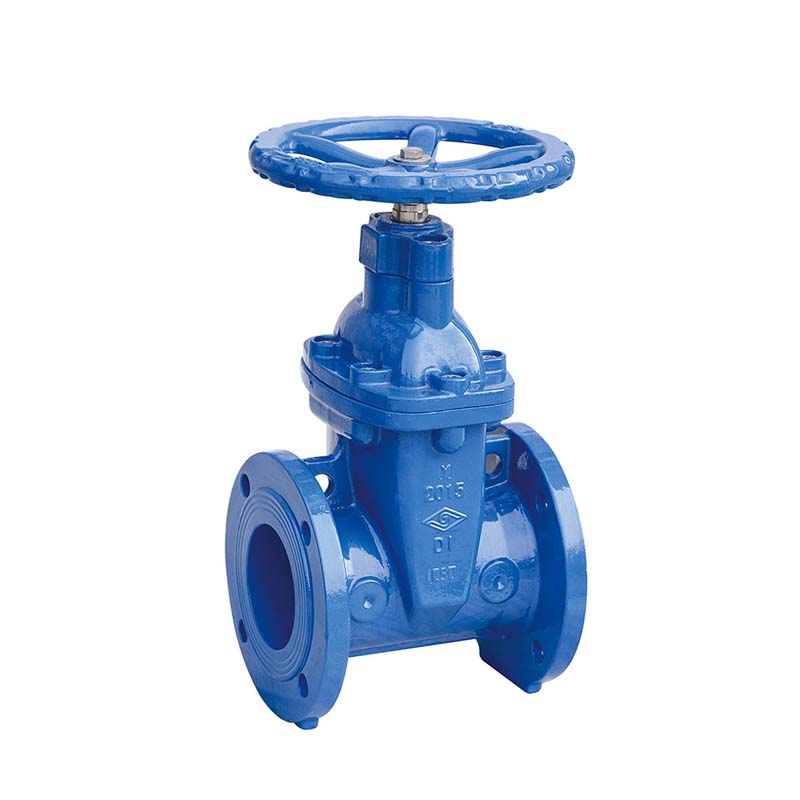 BS FLANGED RESILIENT NRS GATE VALVE,FIG# Z45X