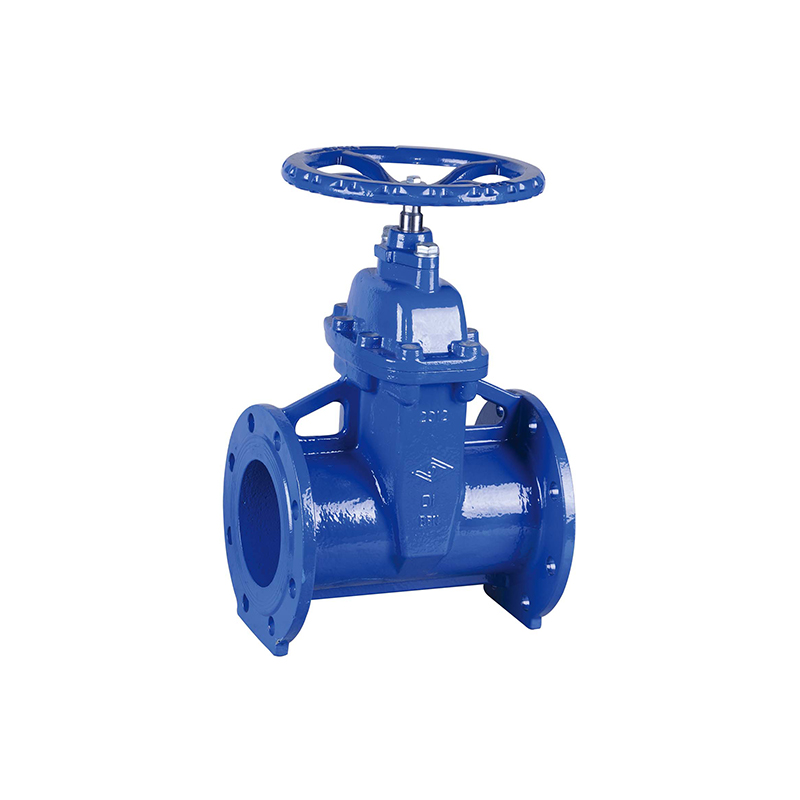 DIN FLANGED RESILIENT NRS GATE VALVE #Z45XF5