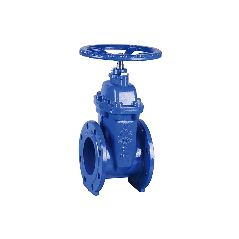 DIN FLANGED RESILIENT NRS GATE VALVE #Z45X