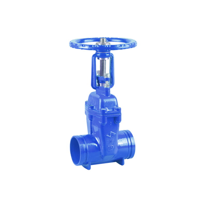 BS GROOVE RESILIENT OS&Y GATE VALVE#XZ81X